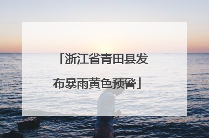 浙江省青田县发布暴雨黄色预警