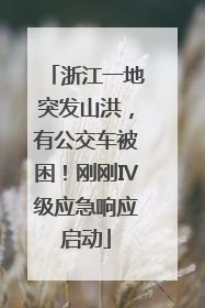 浙江一地突发山洪，有公交车被困！刚刚Ⅳ级应急响应启动