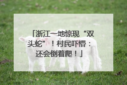 浙江一地惊现“双头蛇”！村民吓懵：还会倒着爬！