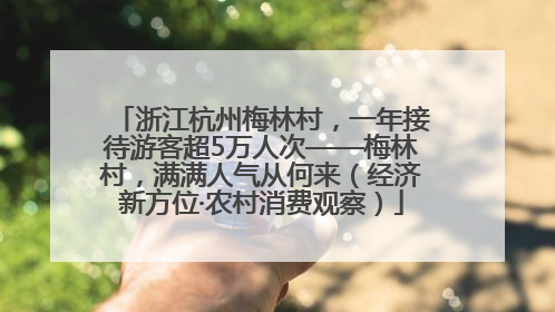 浙江杭州梅林村，一年接待游客超5万人次——梅林村，满满人气从何来（经济新方位·农村消费观察）