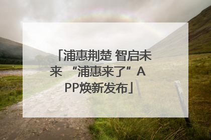 浦惠荆楚 智启未来 “浦惠来了”APP焕新发布