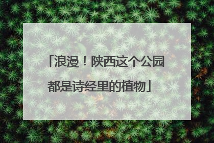 浪漫！陕西这个公园都是诗经里的植物