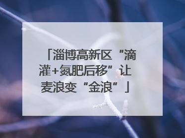 淄博高新区“滴灌+氮肥后移”让麦浪变“金浪”