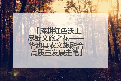 深耕红色沃土 尽绽文旅之花——华池县农文旅融合高质量发展走笔