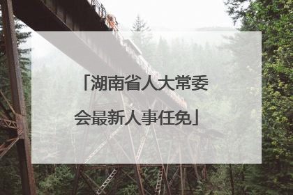 湖南省人大常委会最新人事任免