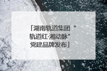 湖南轨道集团“轨道红·湘动脉”党建品牌发布