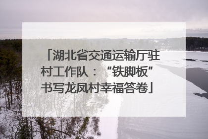 湖北省交通运输厅驻村工作队：“铁脚板”书写龙凤村幸福答卷