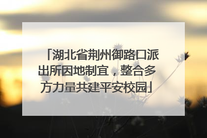 湖北省荆州御路口派出所因地制宜，整合多方力量共建平安校园