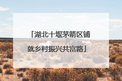 湖北十堰茅箭区铺就乡村振兴共富路