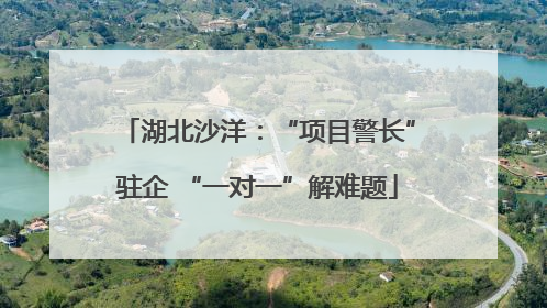湖北沙洋：“项目警长”驻企 “一对一”解难题