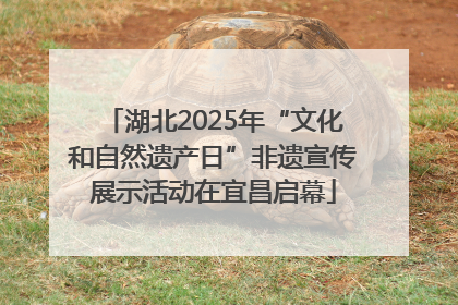 湖北2025年“文化和自然遗产日”非遗宣传展示活动在宜昌启幕