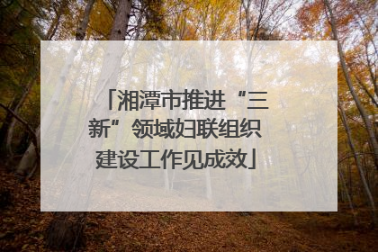 湘潭市推进“三新”领域妇联组织建设工作见成效