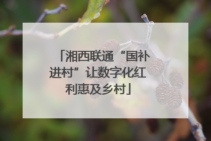 湘西联通“国补进村”让数字化红利惠及乡村