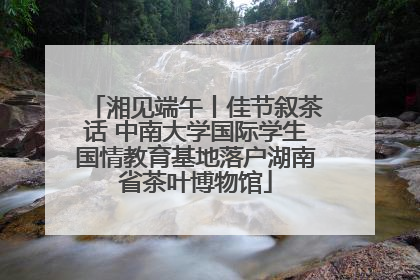 湘见端午丨佳节叙茶话 中南大学国际学生国情教育基地落户湖南省茶叶博物馆
