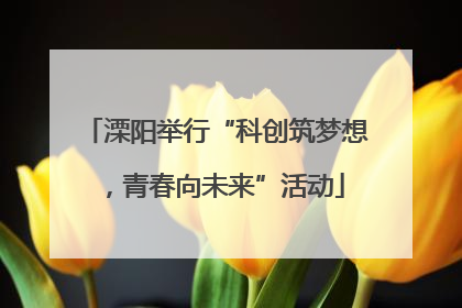 溧阳举行“科创筑梦想，青春向未来”活动