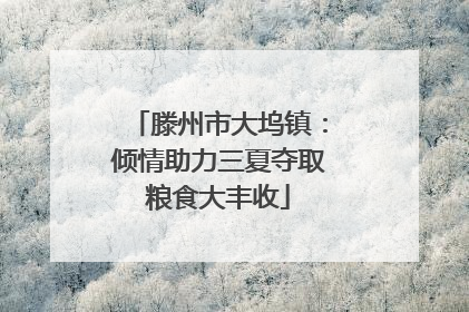 滕州市大坞镇：倾情助力三夏夺取粮食大丰收