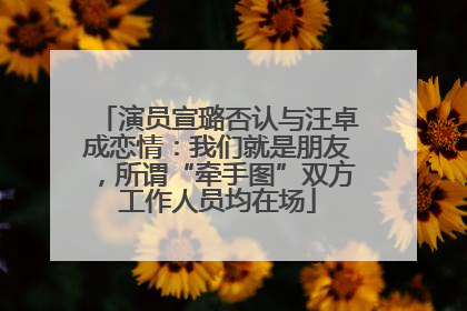 演员宣璐否认与汪卓成恋情：我们就是朋友，所谓“牵手图”双方工作人员均在场