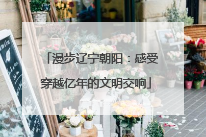 漫步辽宁朝阳：感受穿越亿年的文明交响