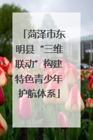 菏泽市东明县“三维联动”构建特色青少年护航体系