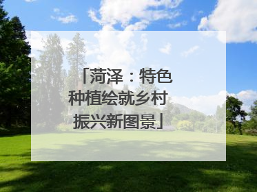 菏泽：特色种植绘就乡村振兴新图景
