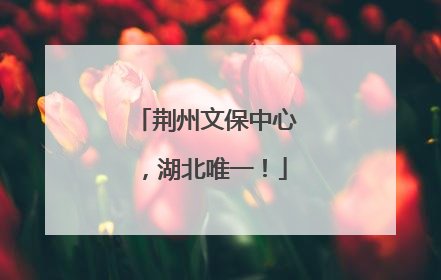 荆州文保中心，湖北唯一！