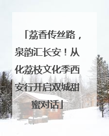 荔香传丝路，泉韵汇长安！从化荔枝文化季西安行开启双城甜蜜对话