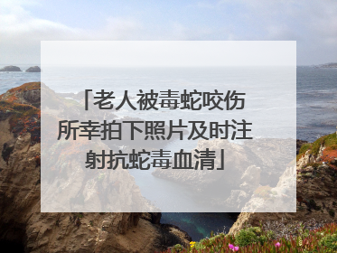 老人被毒蛇咬伤 所幸拍下照片及时注射抗蛇毒血清