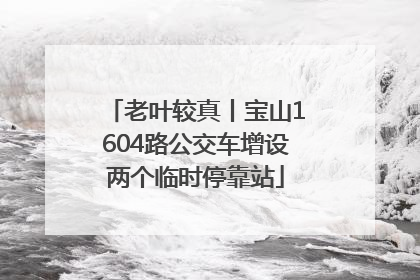 老叶较真丨宝山1604路公交车增设两个临时停靠站