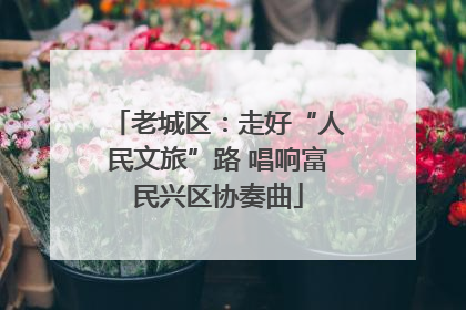 老城区：走好“人民文旅”路 唱响富民兴区协奏曲