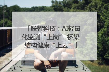 联智科技：AI轻量化监测“上岗” 桥梁结构健康“上云”