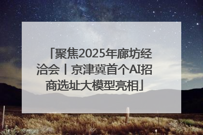 聚焦2025年廊坊经洽会丨京津冀首个AI招商选址大模型亮相