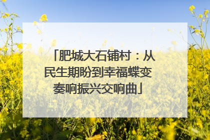 肥城大石铺村：从民生期盼到幸福蝶变奏响振兴交响曲