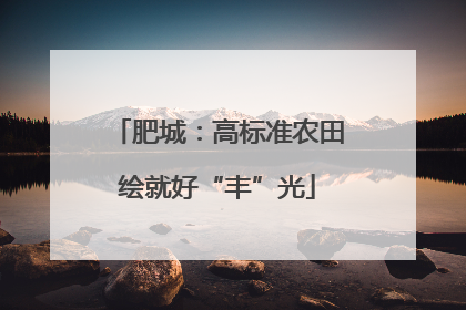 肥城：高标准农田绘就好“丰”光