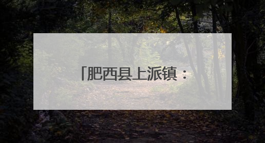 肥西县上派镇：窗帘之约——开启社区治理“银发订制”时光
