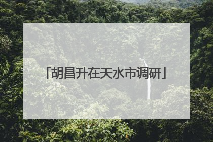 胡昌升在天水市调研