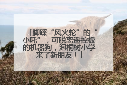 脚踩“风火轮”的“小吒”，可脱离遥控板的机器狗，泡桐树小学来了新朋友！