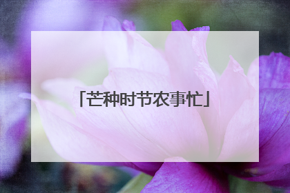 芒种时节农事忙