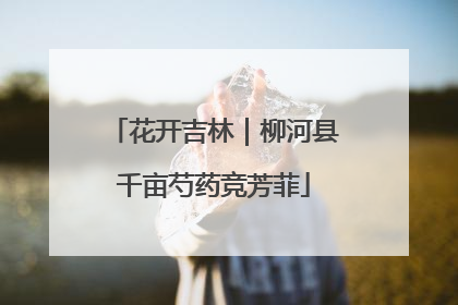 花开吉林｜柳河县千亩芍药竞芳菲
