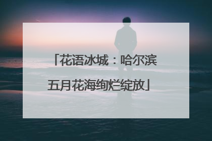 花语冰城：哈尔滨五月花海绚烂绽放