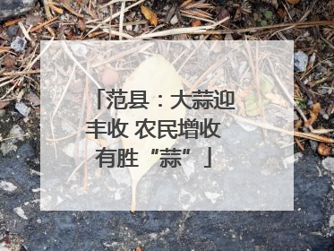 范县：大蒜迎丰收 农民增收有胜“蒜”