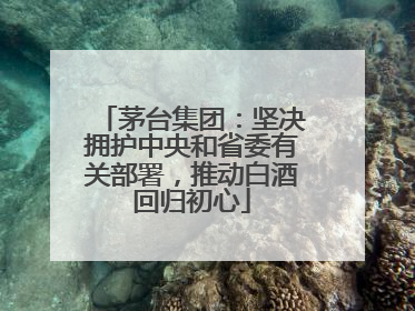 茅台集团：坚决拥护中央和省委有关部署，推动白酒回归初心