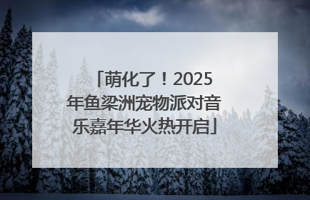 萌化了！2025年鱼梁洲宠物派对音乐嘉年华火热开启