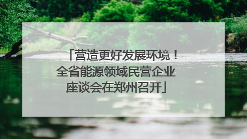 营造更好发展环境！全省能源领域民营企业座谈会在郑州召开