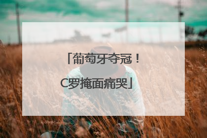 葡萄牙夺冠！C罗掩面痛哭