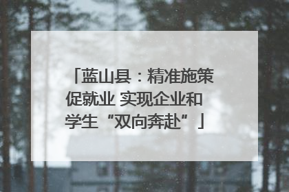 蓝山县：精准施策促就业 实现企业和学生“双向奔赴”
