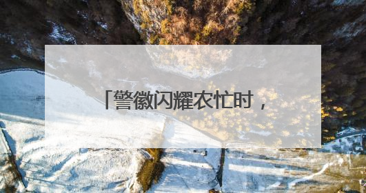 警徽闪耀农忙时，仪征多措并举守护百姓“粮袋子”