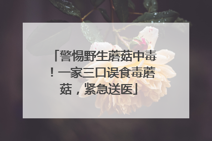 警惕野生蘑菇中毒！一家三口误食毒蘑菇，紧急送医