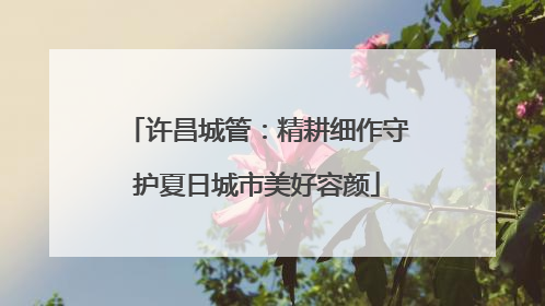 许昌城管：精耕细作守护夏日城市美好容颜