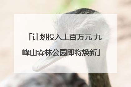 计划投入上百万元 九峰山森林公园即将焕新