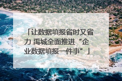 让数据填报省时又省力 禹城全面推进“企业数据填报一件事”